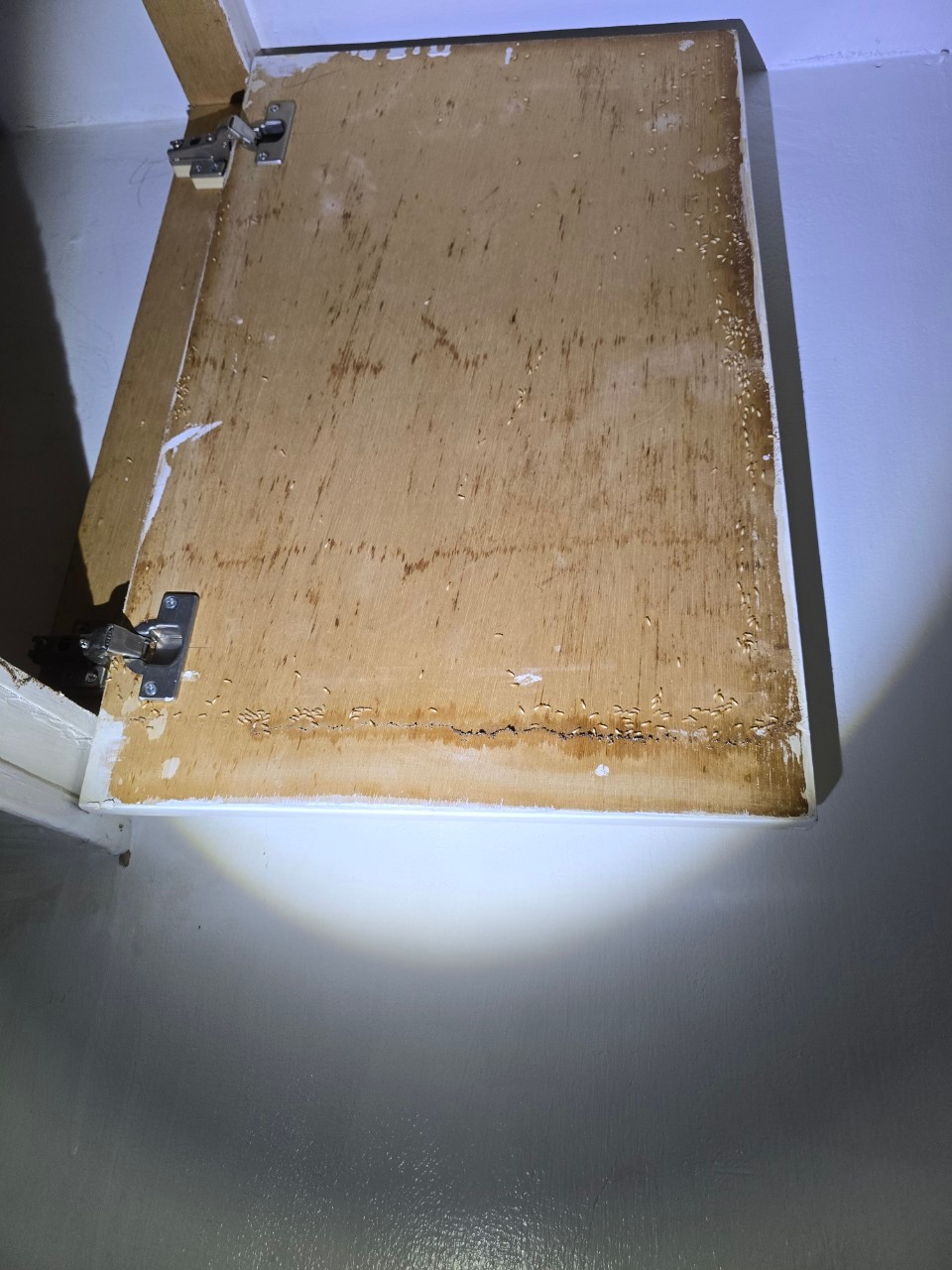 Ho消毒有限公司的實際案例圖片